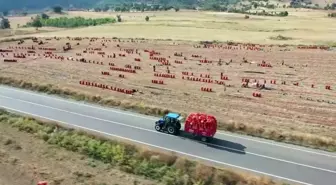 Soğan rekoltesi ve fiyatıyla üreticinin yüzünü güldürdü
