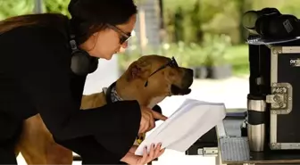 Dikkat Köpek Var... 'HAYVANLARI KORUMA GÜNÜ'NDE SETE ÇIKTI!