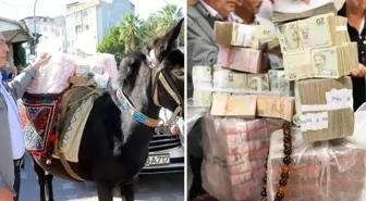 Görüntü Türkiye'den! Çuvallar dolusu parayı katır sırtında getirip belediye başkanına teslim etti
