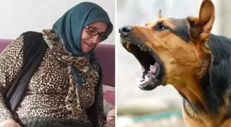 Çoban köpeğinin saldırdığı kadın öldü, köylüler hayvanı tüfekle vurdu