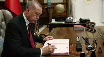 Erdoğan'ın imzasıyla 11 bölgedeki doğal sit alanları 'kesin korunacak hassas alan' ilan edildi