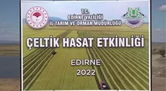 Edirne haber | İpsala Ovası'nda çeltik hasadı etkinliği