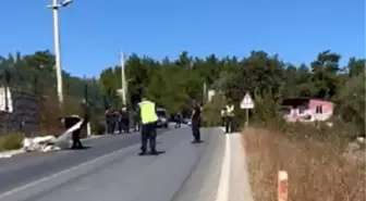 Son dakika haberi... İzmir'de kamyonun çarptığı motosikletin sürücüsü öldü