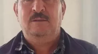 Kestiği Ağacın Altında Can Verdi