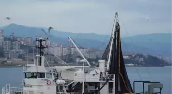 Uzmanlar 'her ay en fazla hangi balık çıkıyorsa' onun tüketilmesini önerdi