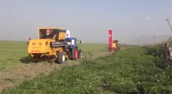 Şırnak'ta yer fıstığı hasadı yapıldı