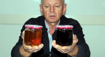 Sinop gündem haberleri | Sinop'ta kestane balı rekoltesi 150 ton oldu