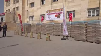 Üreticilere tohum ve fide desteği