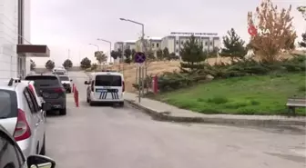 Koyunlarını otlatmaya giden çobanların üzerine yıldırım düştü: 1 ölü, 1 yaralı