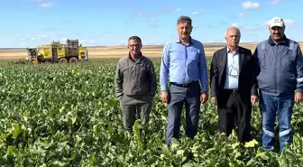 Konya haber... Kulu'da şeker pancarı hasadı başladı