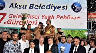 Isparta spor: Aksu Belediyesi 7. Geleneksel Yağlı Pehlivan Güreşlerinde başpehlivan Ali Gürbüz'ün