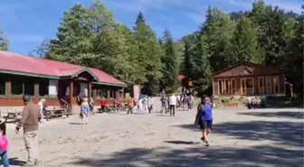 Macahel sonbahar renklerine bürünmeye başladı