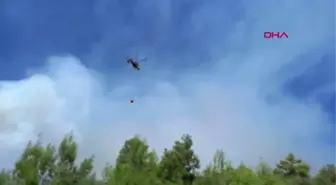 Son dakika haber... ANTALYA'DA ORMAN YANGINI