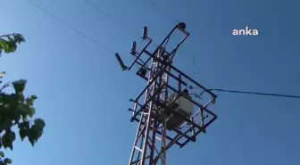Malatyalı Kayısı Üreticilerinden Trafo Tepkisi