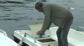 Binlerce liralık tekne motorlarını çaldılar