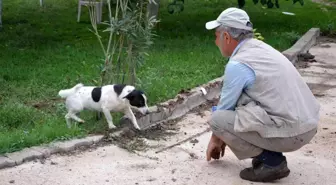 Son dakika haber | Haber yaparken köpeğin saldırısına uğradı