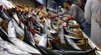 Tezgahlarda balık çeşitliliği arttı
