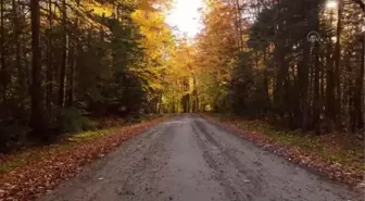 NEW HAMPSHIRE / VERMONT - ABD'de sonbahar renkleri doğaya yansıdı