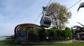 Ordu haberleri! Ordu'da teleferik 9 ayda 600 bine yakın yolcu taşıdı