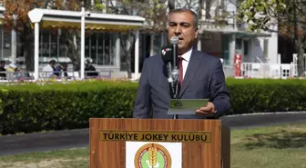 Şampiyon atın 2 yavrusu, rekor fiyatla satıldı