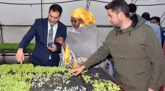 Tekirdağ haberi: Çorlu Belediye Başkanı Sarıkurt, Nijer Heyetini Ağırladı