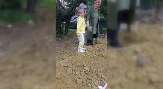 Çukura düşen kirpi kurtarıldı