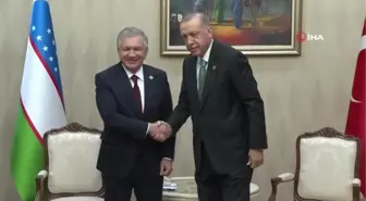 Cumhurbaşkanı Erdoğan, Özbekistanlı mevkidaşı Mirziyoyev ile görüştü