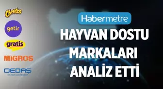 Habermetre, 'Hayvan Dostu Markalar'ı markaları raporladı