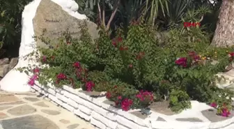 'HALİKARNAS BALIKÇISI' MEZARI BAŞINDA ANILDI
