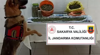 Son dakika haberi: Jandarmadan iki ilçede uyuşturucu operasyonu: 4 gözaltı