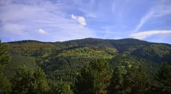 Murat Dağı sonbahar renklerine büründü