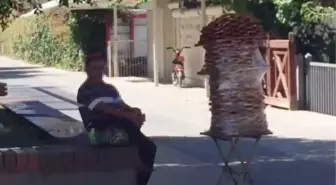 Yerli halka 7,5, turiste 20 liradan simit veren seyyar satıcıya para cezası