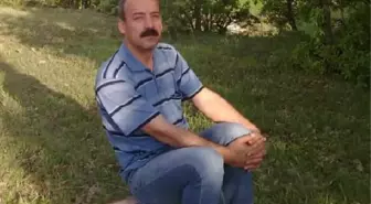 Son Dakika | DÜŞEN KOVANDAN ÇIKAN ARILARIN SOKTUĞU ARICI ÖLDÜ