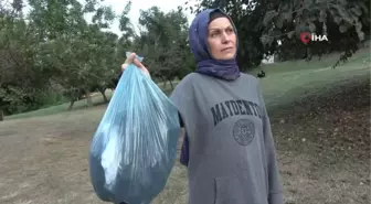 Kocası tarafından 7 yerinden bıçaklanan Dilek hemşire, 2 buçuk yıldır boşanamıyor