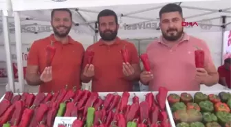 2 DAKİKADA 188 GRAM ACI BİBER YEDİ, ÖDÜLÜ KAZANDI