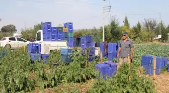 Dolu ve fırtına tarım alanlarına zarar verdi (2)