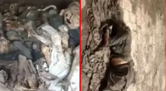 Pakistan'da hastane çatısında korkunç görüntüler! Çürümeye yüz tutmuş cesetler ve insan parçaları bulundu