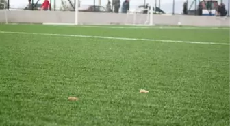 Son dakika haberi... Altay artık kazanmak istiyor