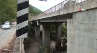 Antalya yerel haberleri... Antalya'da Üzümdere Irmağı kurudu, yavru alabalıklar telef oldu