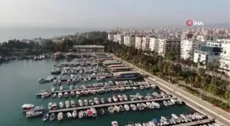 Tezgahlar balıkla doldu taştı, fiyatlar yarı yarıya düştü