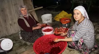 Aydın yerel haberi: Aydın'da nar ekşisi telaşı başladı