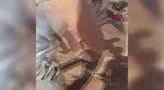 TARLADA SOPALARLA DÖVDÜLER