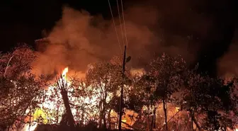 Son dakika haber | Artvin'de çıkan yangında 2 ev kullanılamaz hale geldi