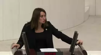 Aysu Bankoğlu: Yahu Biz 41 Canımızı Yitirmişiz, Şu Sıralarda AKP'den 41 Vekil Bile Yok
