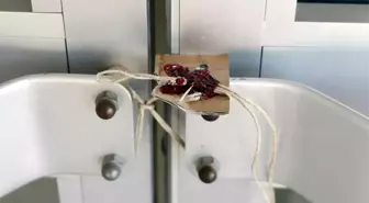 Hayır işlerinden şer maşalığına vakıflar