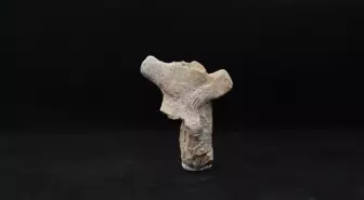 Ulucak Höyüğü'ndeki kazıların bu yılki bölümü tamamlandı