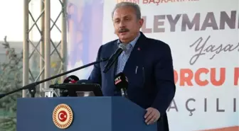 ŞENTOP DÜNYAYI SAVAŞ GİRDABINA SÜRÜKLEYENLERİ İNSAN OLMAYA DAVET EDİYORUM