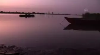 Sudan'da balıkçıların buluşma noktası 'Mevrade balık pazarı'