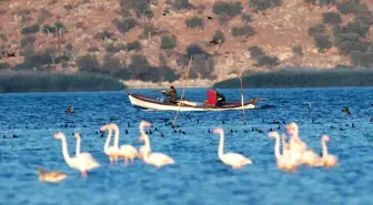 Tabiat Parkı'nda ava 21 bin lira ceza