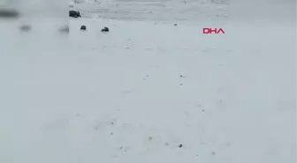 Ağrı haber... Ağrı'nın yüksek kesimleri karla kaplandı